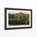 Caballos en el bosque - HCTR | Cuadro decorativo de Canvas Lab