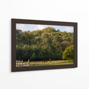 Caballos en el bosque - HCTR | Cuadro decorativo de Canvas Lab
