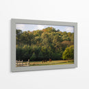 Caballos en el bosque - HCTR | Cuadro decorativo de Canvas Lab
