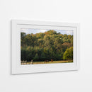 Caballos en el bosque - HCTR | Cuadro decorativo de Canvas Lab