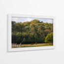 Caballos en el bosque - HCTR | Cuadro decorativo de Canvas Lab