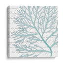 Aqua Marine Vi - Anna Hambly | Cuadro decorativo de Canvas Lab