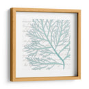 Aqua Marine Vi - Anna Hambly | Cuadro decorativo de Canvas Lab