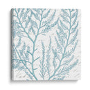 Aqua Marine Viii - Anna Hambly | Cuadro decorativo de Canvas Lab