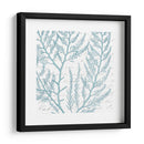 Aqua Marine Viii - Anna Hambly | Cuadro decorativo de Canvas Lab