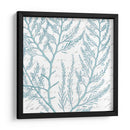 Aqua Marine Viii - Anna Hambly | Cuadro decorativo de Canvas Lab