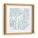 Aqua Marine Viii - Anna Hambly | Cuadro decorativo de Canvas Lab