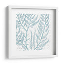 Aqua Marine Viii - Anna Hambly | Cuadro decorativo de Canvas Lab