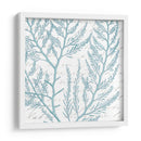 Aqua Marine Viii - Anna Hambly | Cuadro decorativo de Canvas Lab