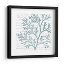 Aqua Marine Ix - Anna Hambly | Cuadro decorativo de Canvas Lab