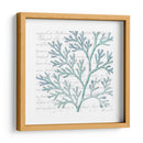 Aqua Marine Ix - Anna Hambly | Cuadro decorativo de Canvas Lab