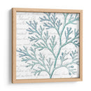 Aqua Marine Ix - Anna Hambly | Cuadro decorativo de Canvas Lab