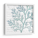 Aqua Marine Ix - Anna Hambly | Cuadro decorativo de Canvas Lab