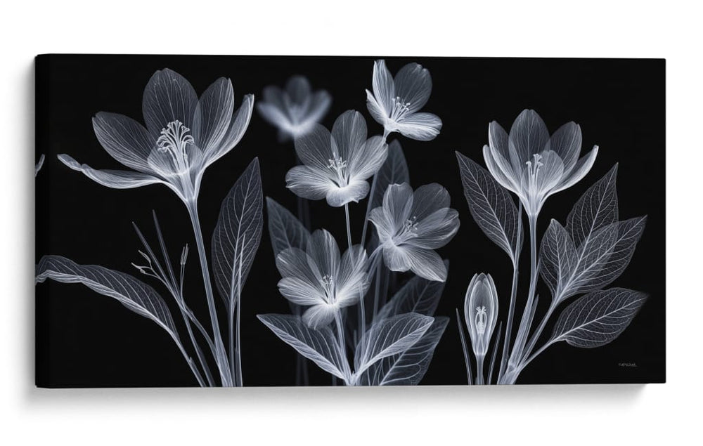 Belleza Transparente - Caperh | Cuadro decorativo de Canvas Lab