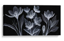 Belleza Transparente - Caperh | Cuadro decorativo de Canvas Lab