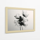 Desvanecidos en gladiolas - DIEGO D L | Cuadro decorativo de Canvas Lab