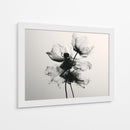 Desvanecidos en gladiolas - DIEGO D L | Cuadro decorativo de Canvas Lab