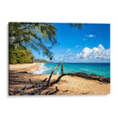 Playa Lumahai - Danny Head | Cuadro decorativo de Canvas Lab