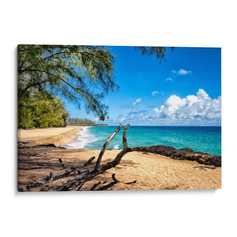 Playa Lumahai - Danny Head | Cuadro decorativo de Canvas Lab