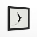 Ave en tinta negra - DIEGO D L | Cuadro decorativo de Canvas Lab