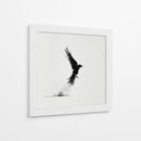 Ave en tinta negra - DIEGO D L | Cuadro decorativo de Canvas Lab