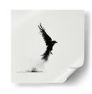 Ave en tinta negra - DIEGO D L | Cuadro decorativo de Canvas Lab