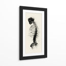 Espalda de un esqueleto - DIEGO D L | Cuadro decorativo de Canvas Lab