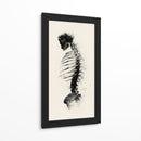 Espalda de un esqueleto - DIEGO D L | Cuadro decorativo de Canvas Lab