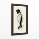 Espalda de un esqueleto - DIEGO D L | Cuadro decorativo de Canvas Lab