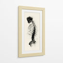 Espalda de un esqueleto - DIEGO D L | Cuadro decorativo de Canvas Lab