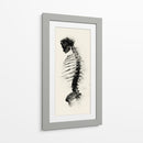 Espalda de un esqueleto - DIEGO D L | Cuadro decorativo de Canvas Lab
