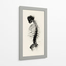 Espalda de un esqueleto - DIEGO D L | Cuadro decorativo de Canvas Lab