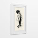 Espalda de un esqueleto - DIEGO D L | Cuadro decorativo de Canvas Lab