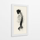 Espalda de un esqueleto - DIEGO D L | Cuadro decorativo de Canvas Lab