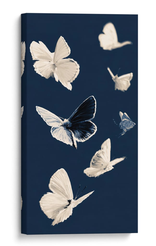Mariposas blancas II - DIEGO D L | Cuadro decorativo de Canvas Lab