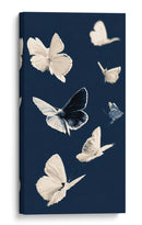 Mariposas blancas II - DIEGO D L | Cuadro decorativo de Canvas Lab