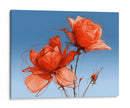 Rosas naranjas - DIEGO D L | Cuadro decorativo de Canvas Lab