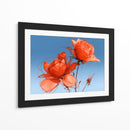Rosas naranjas - DIEGO D L | Cuadro decorativo de Canvas Lab