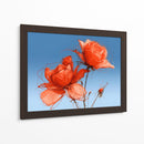 Rosas naranjas - DIEGO D L | Cuadro decorativo de Canvas Lab