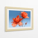 Rosas naranjas - DIEGO D L | Cuadro decorativo de Canvas Lab