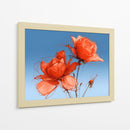 Rosas naranjas - DIEGO D L | Cuadro decorativo de Canvas Lab