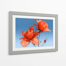 Rosas naranjas - DIEGO D L | Cuadro decorativo de Canvas Lab