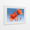 Rosas naranjas - DIEGO D L | Cuadro decorativo de Canvas Lab