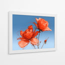 Rosas naranjas - DIEGO D L | Cuadro decorativo de Canvas Lab