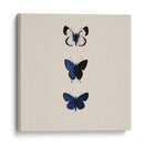 3 Mariposas Azules - DIEGO D L | Cuadro decorativo de Canvas Lab
