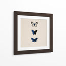 3 Mariposas Azules - DIEGO D L | Cuadro decorativo de Canvas Lab
