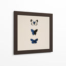 3 Mariposas Azules - DIEGO D L | Cuadro decorativo de Canvas Lab