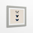 3 Mariposas Azules - DIEGO D L | Cuadro decorativo de Canvas Lab