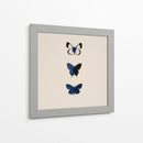 3 Mariposas Azules - DIEGO D L | Cuadro decorativo de Canvas Lab