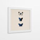 3 Mariposas Azules - DIEGO D L | Cuadro decorativo de Canvas Lab